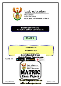Economics P1 Nov 2020 Memo Eng.pdf